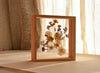 French herbarium – Pressed flower art – Cadre herbarium – Viola – Field flowers – Square – Home Decor – Gift for grandma