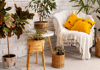 Home Decor